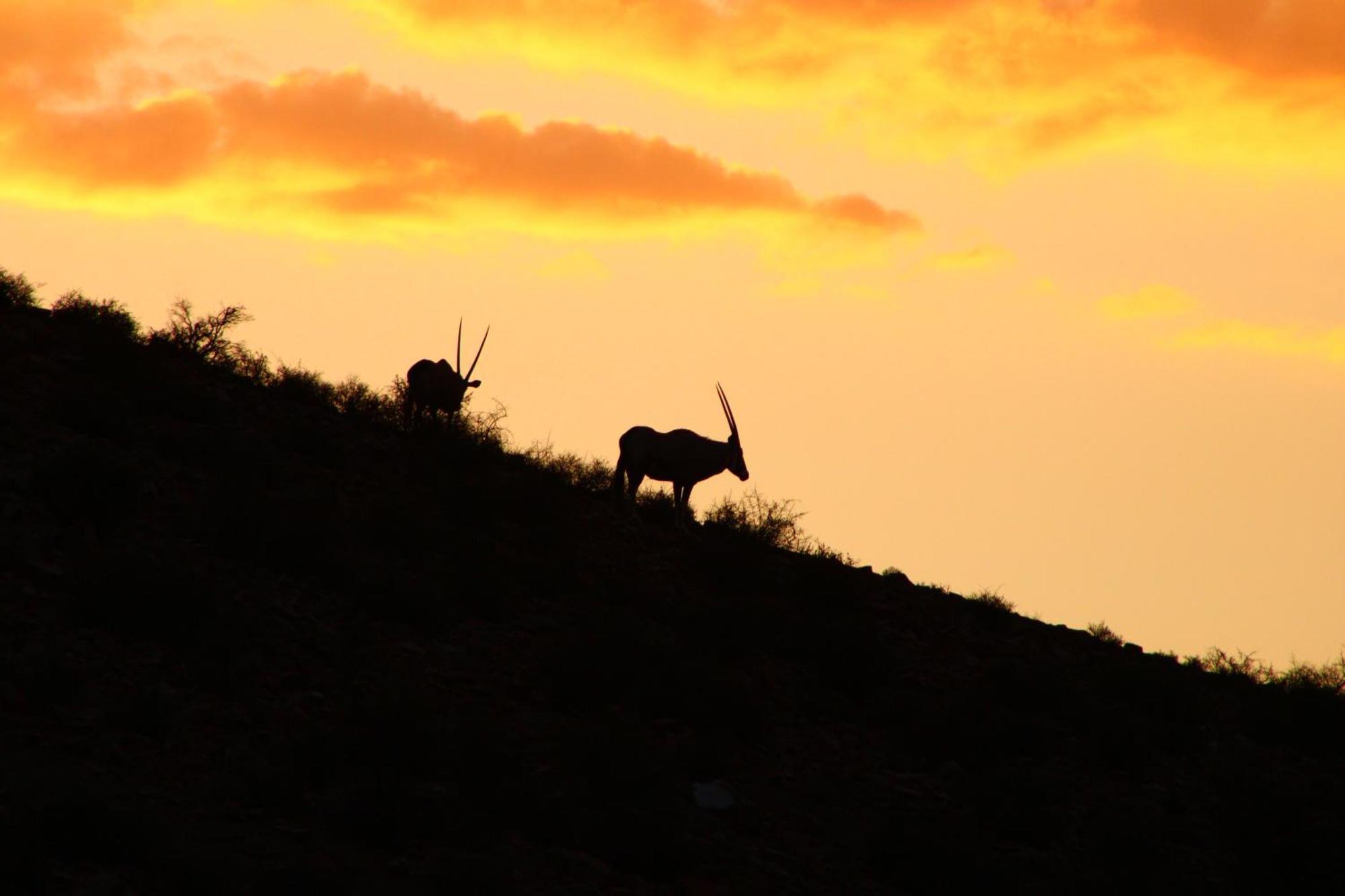 Bosch Luys Kloof Nature Reserve Ladismith Dış mekan fotoğraf