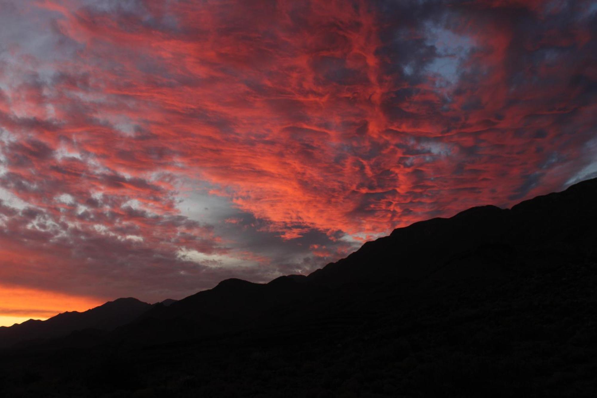 Bosch Luys Kloof Nature Reserve Ladismith Dış mekan fotoğraf